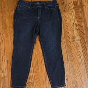 Lane Bryant Dark Indigo Skinny Jeans